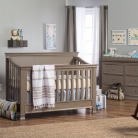 Million Dollar Baby - Foothill Collection